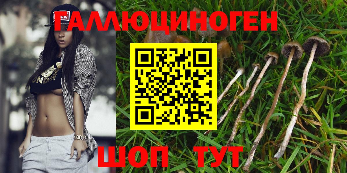 Биробиджан  Псилоцибиновые грибы прущие грибы  Вход с VPN 